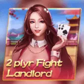 Fight the Landlord 2 Players